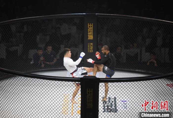 后亚运元年：体育赛事如何在浙江实现情感共鸣