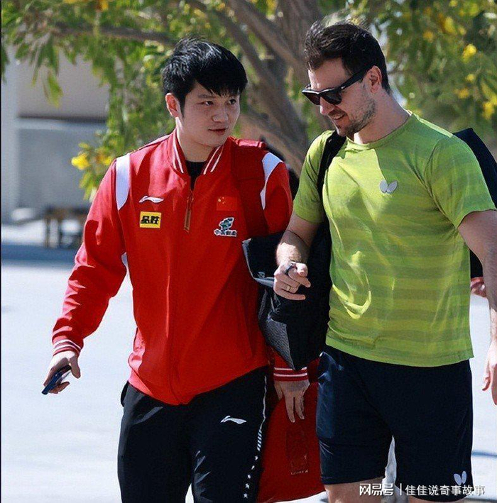 樊振东加盟欧洲豪门 波尔任大使共绘乒坛新蓝图